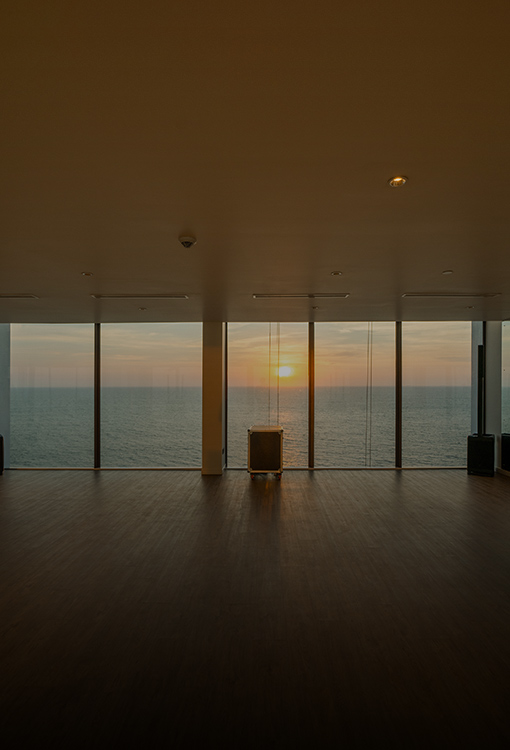 Movement & Wellness Studio